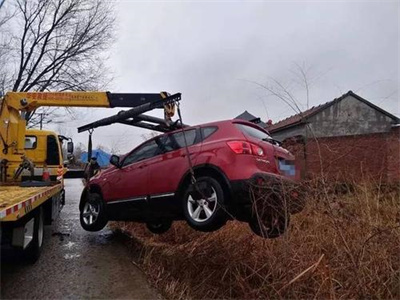 天等楚雄道路救援